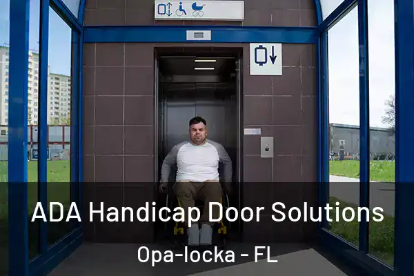 ADA Handicap Door Solutions Opa-locka - FL