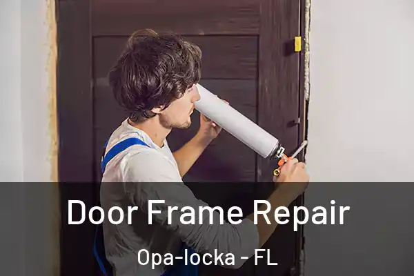 Door Frame Repair Opa-locka - FL