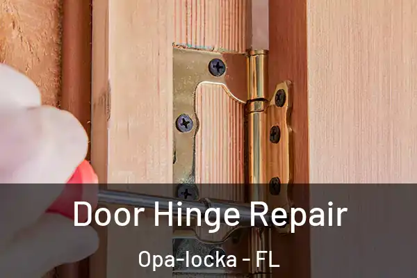 Door Hinge Repair Opa-locka - FL