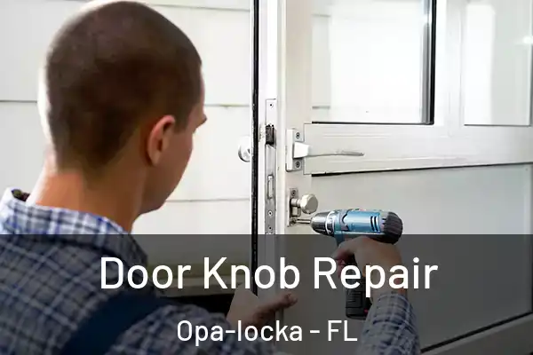 Door Knob Repair Opa-locka - FL