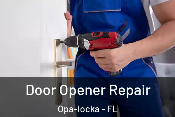 Door Opener Repair Opa-locka - FL