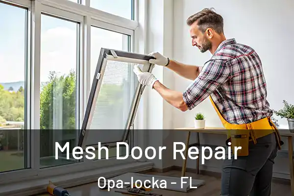 Mesh Door Repair Opa-locka - FL