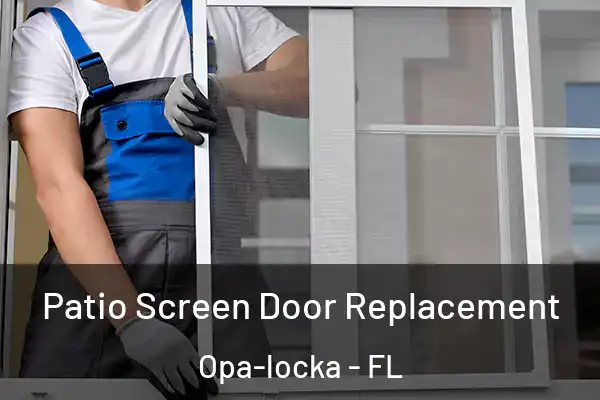 Patio Screen Door Replacement Opa-locka - FL