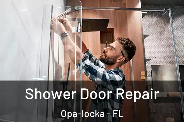 Shower Door Repair Opa-locka - FL