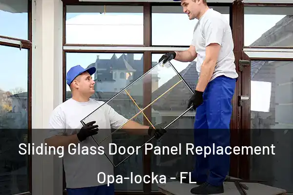 Sliding Glass Door Panel Replacement Opa-locka - FL